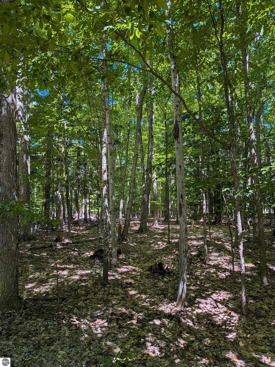 80 Acres of Recreational & Residential Land for Sale in Pickford, Michigan