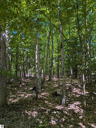 80 Acres of Recreational & Residential Land for Sale in Pickford, Michigan