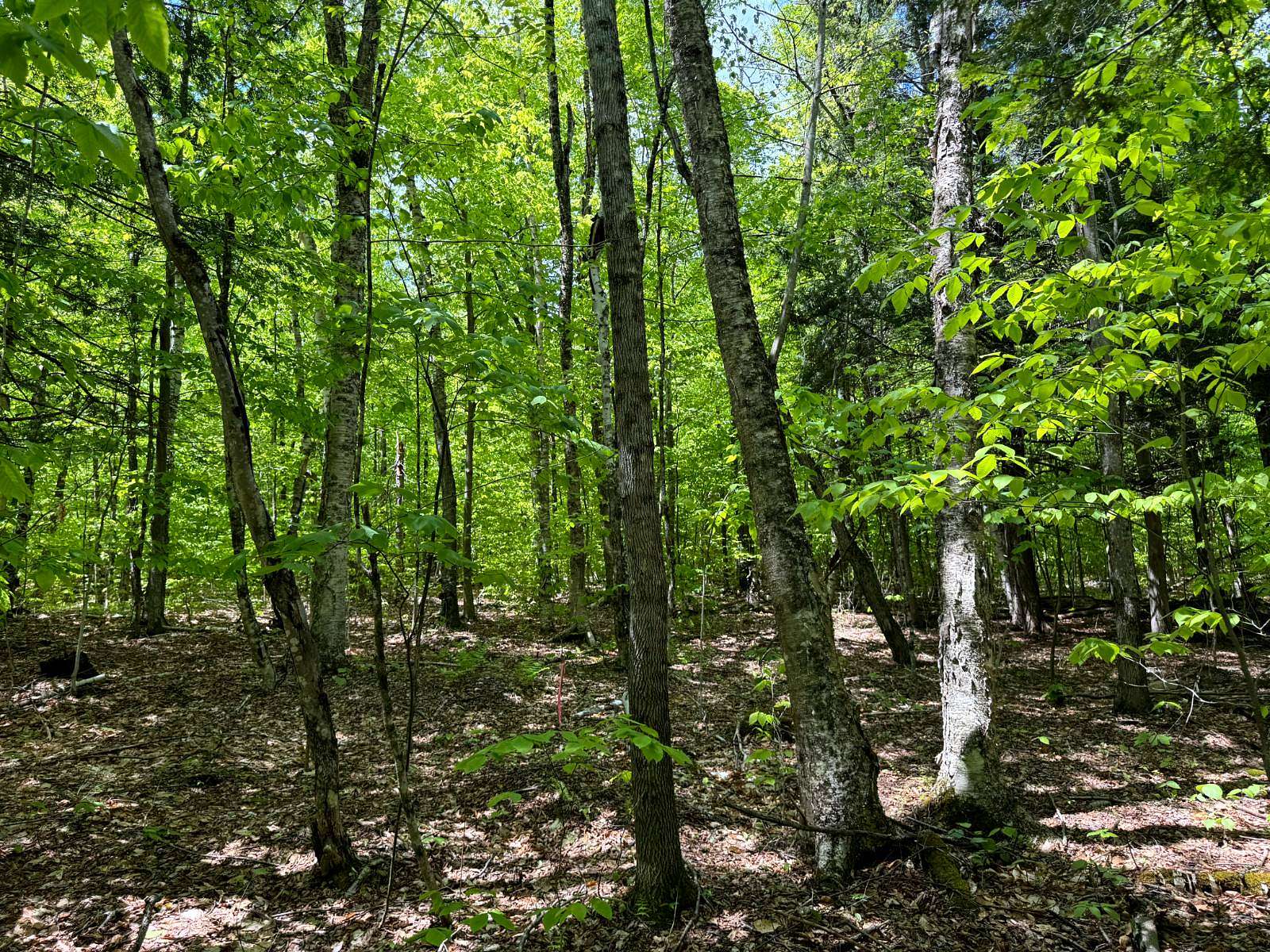 31 Acres of Recreational Land for Sale in Chester Town, New York