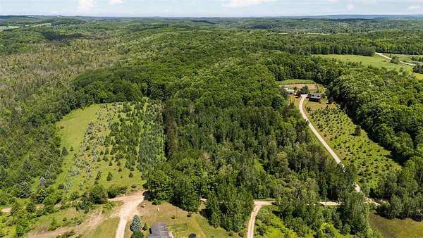 9.69 Acres of Residential Land for Sale in Ellsworth, Michigan