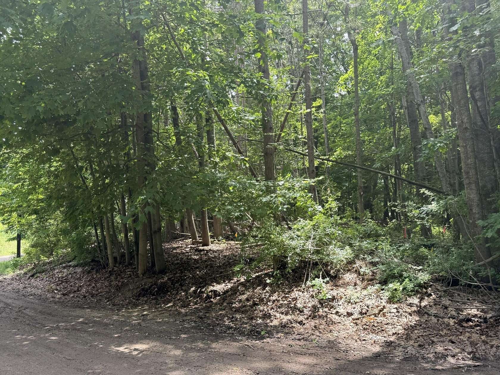 0.51 Acres of Residential Land for Sale in Pentwater, Michigan