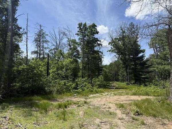 5 Acres of Land for Sale in Baldwin, Michigan
