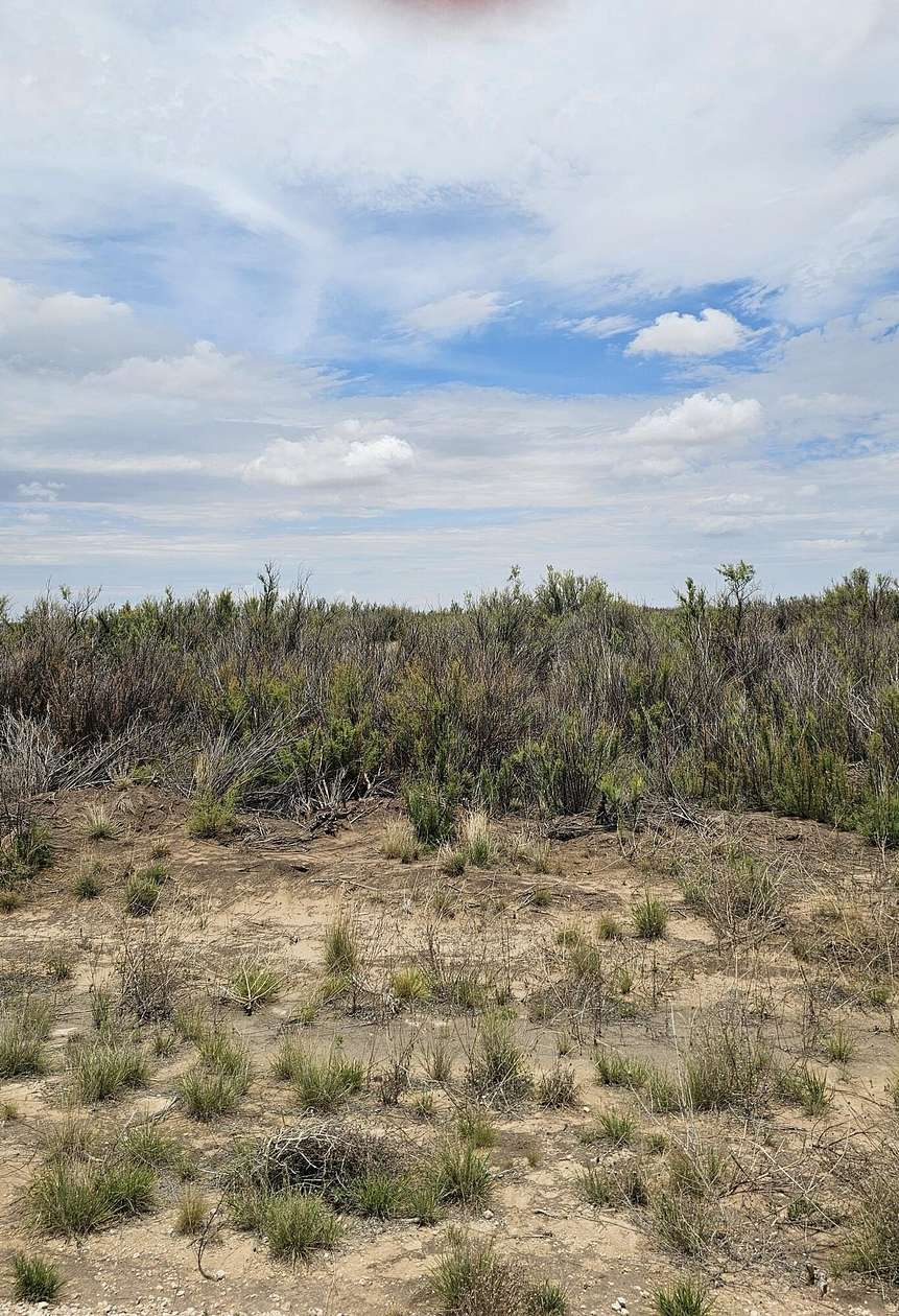 20 Acres of Land for Sale in Brownfield, Texas