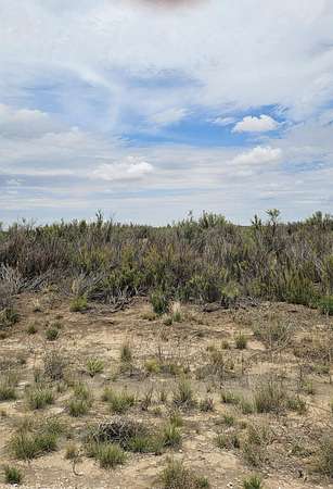 20 Acres of Land for Sale in Brownfield, Texas
