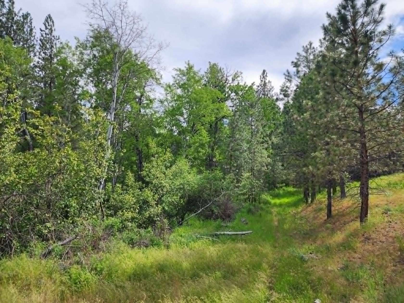 37.5 Acres of Land for Sale in Hot Springs, Montana