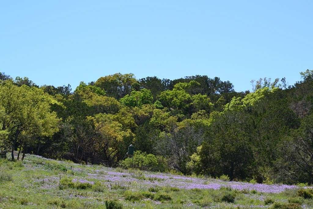 114 Acres of Recreational & Residential Land for Sale in Junction, Texas