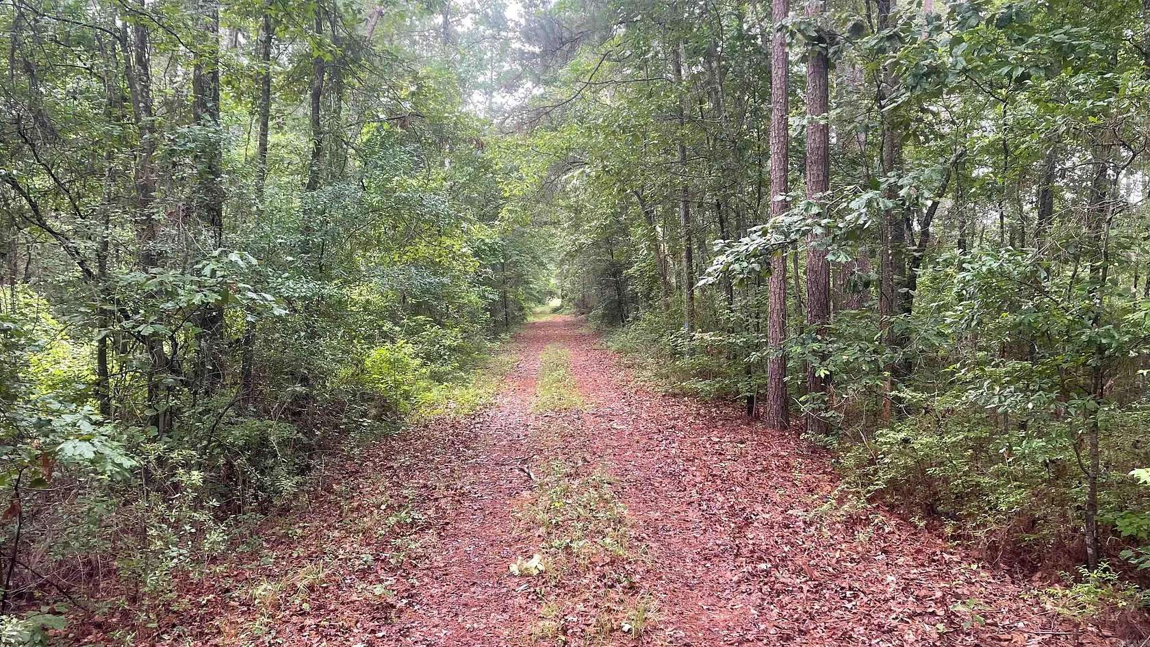 80 Acres of Land for Sale in Hampton, Arkansas