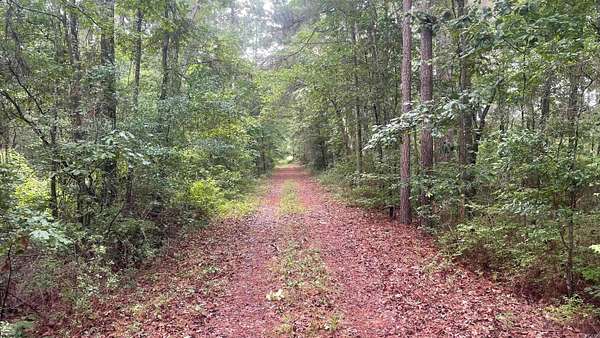 80 Acres of Land for Sale in Hampton, Arkansas