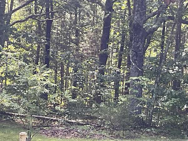 20 Acres of Recreational & Residential Land for Sale in Greers Ferry, Arkansas