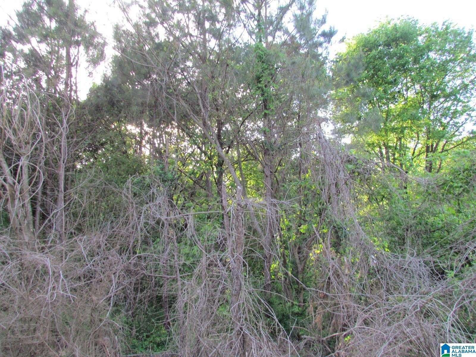 0.4 Acres of Land for Sale in Oneonta, Alabama