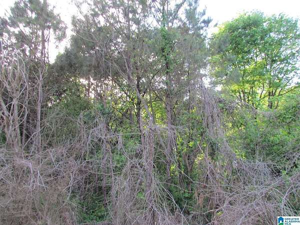 0.4 Acres of Land for Sale in Oneonta, Alabama