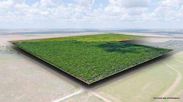 159 Acres of Land for Sale in Anson, Texas