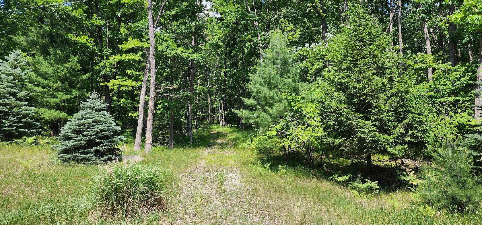 2.77 Acres of Residential Land for Sale in Farwell, Michigan