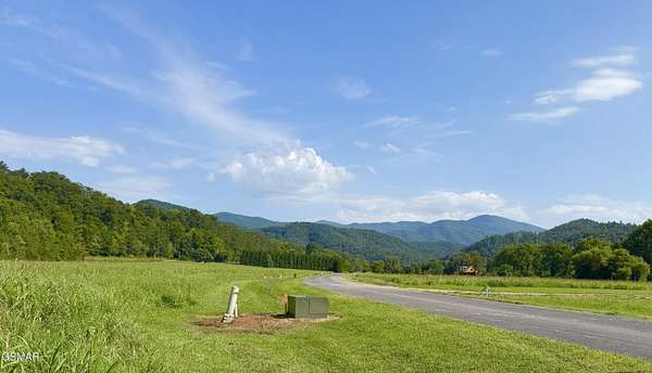 1.39 Acres of Residential Land for Sale in Del Rio, Tennessee
