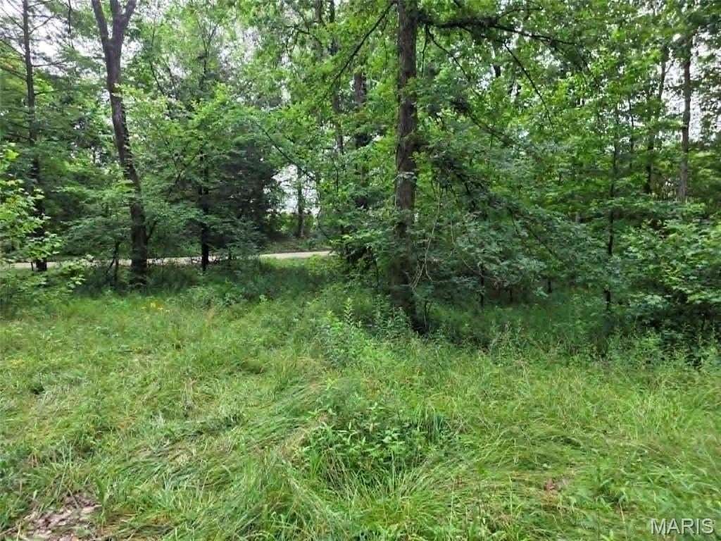 7 Acres of Land with Home for Sale in Wappapello, Missouri