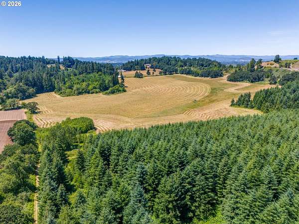 43.2 Acres of Agricultural Land for Sale in Dayton, Oregon