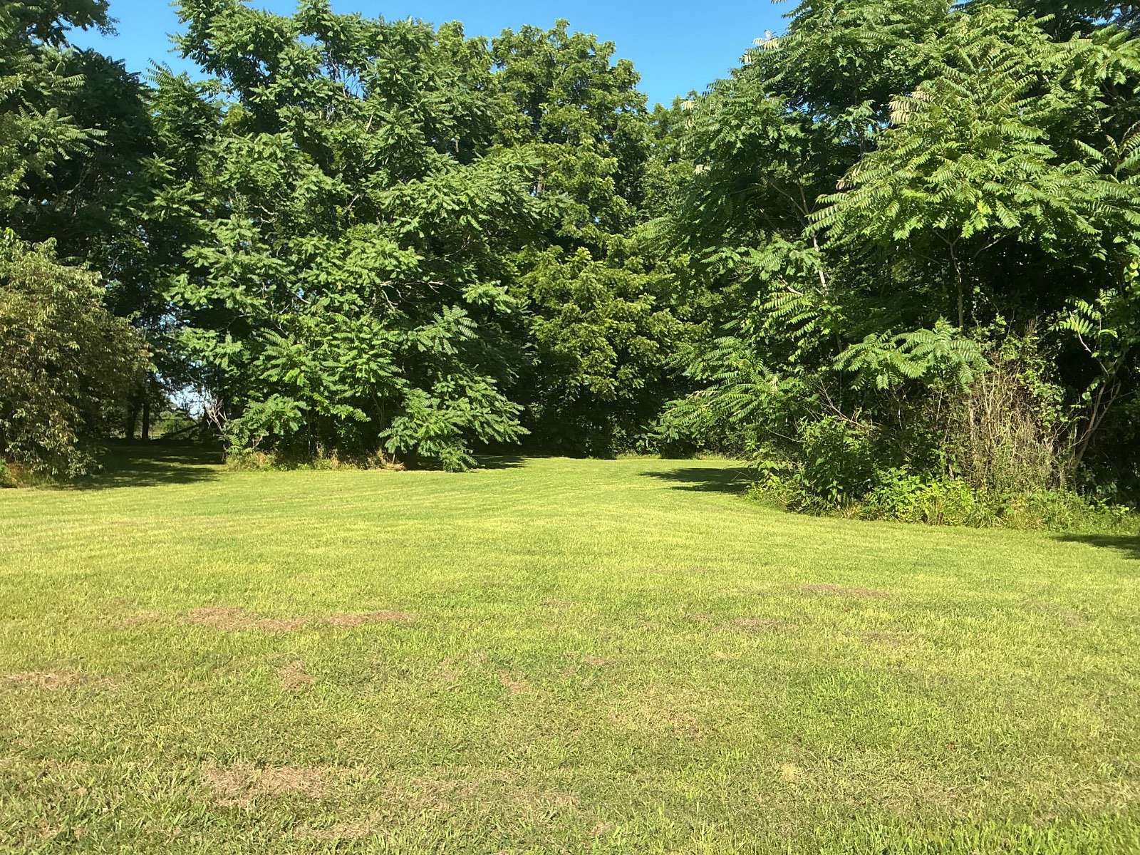 1 Acre of Residential Land for Sale in Charleston, Arkansas