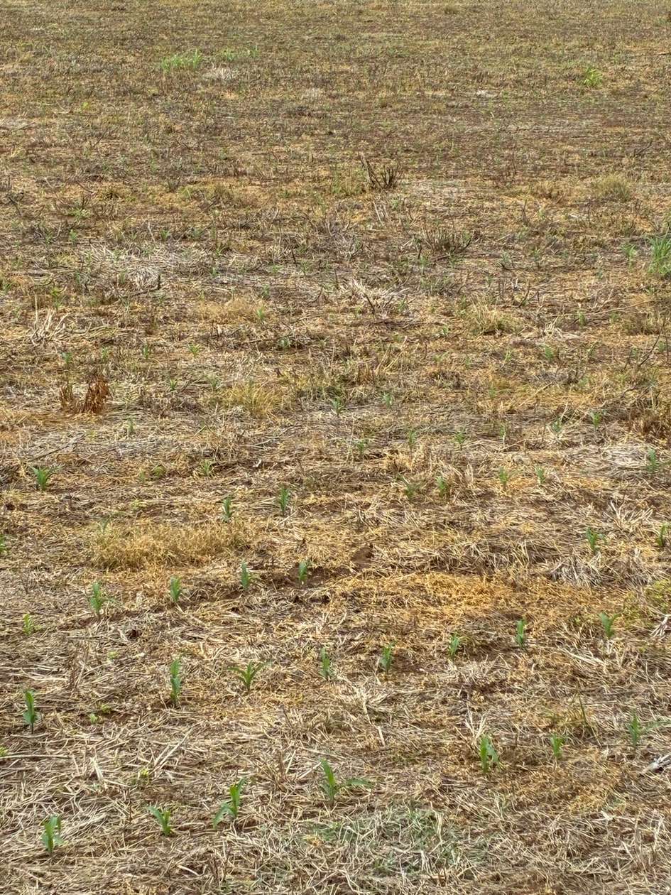 11 Acres of Land for Sale in Ethridge, Tennessee