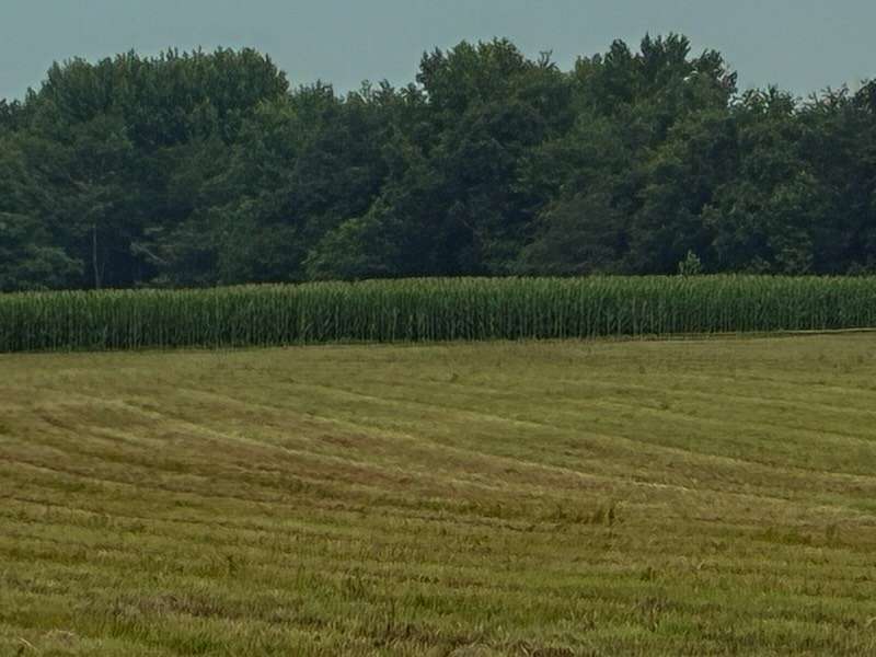 11 Acres of Land for Sale in Ethridge, Tennessee