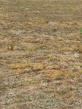 11 Acres of Land for Sale in Ethridge, Tennessee