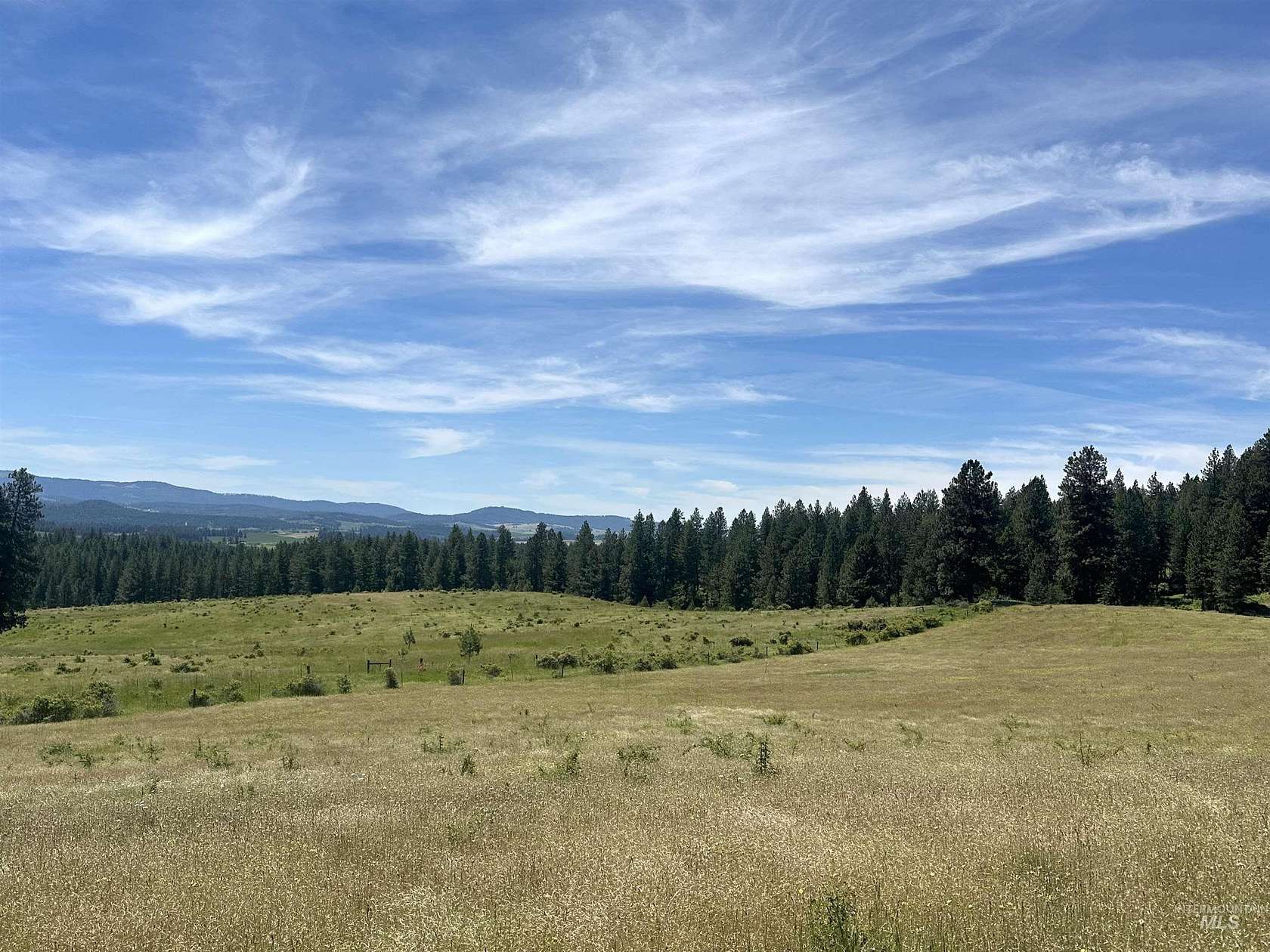 10 Acres of Agricultural Land for Sale in Princeton, Idaho
