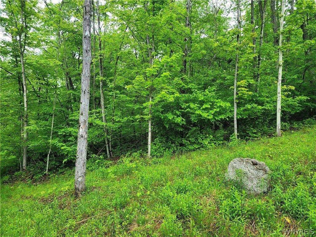 0.57 Acres of Residential Land for Sale in Grove, New York