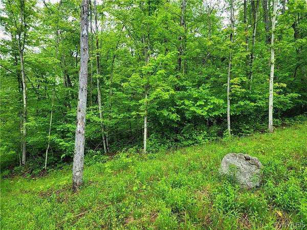 0.57 Acres of Residential Land for Sale in Grove, New York