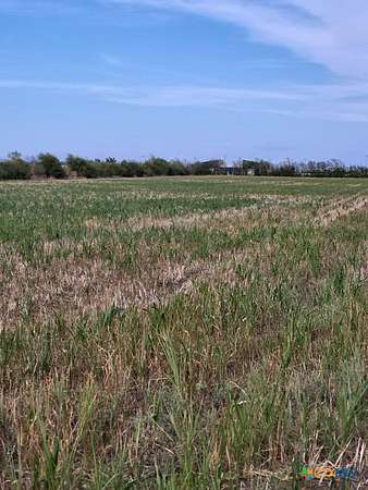 138 Acres of Land with Home for Sale in Jarrell, Texas