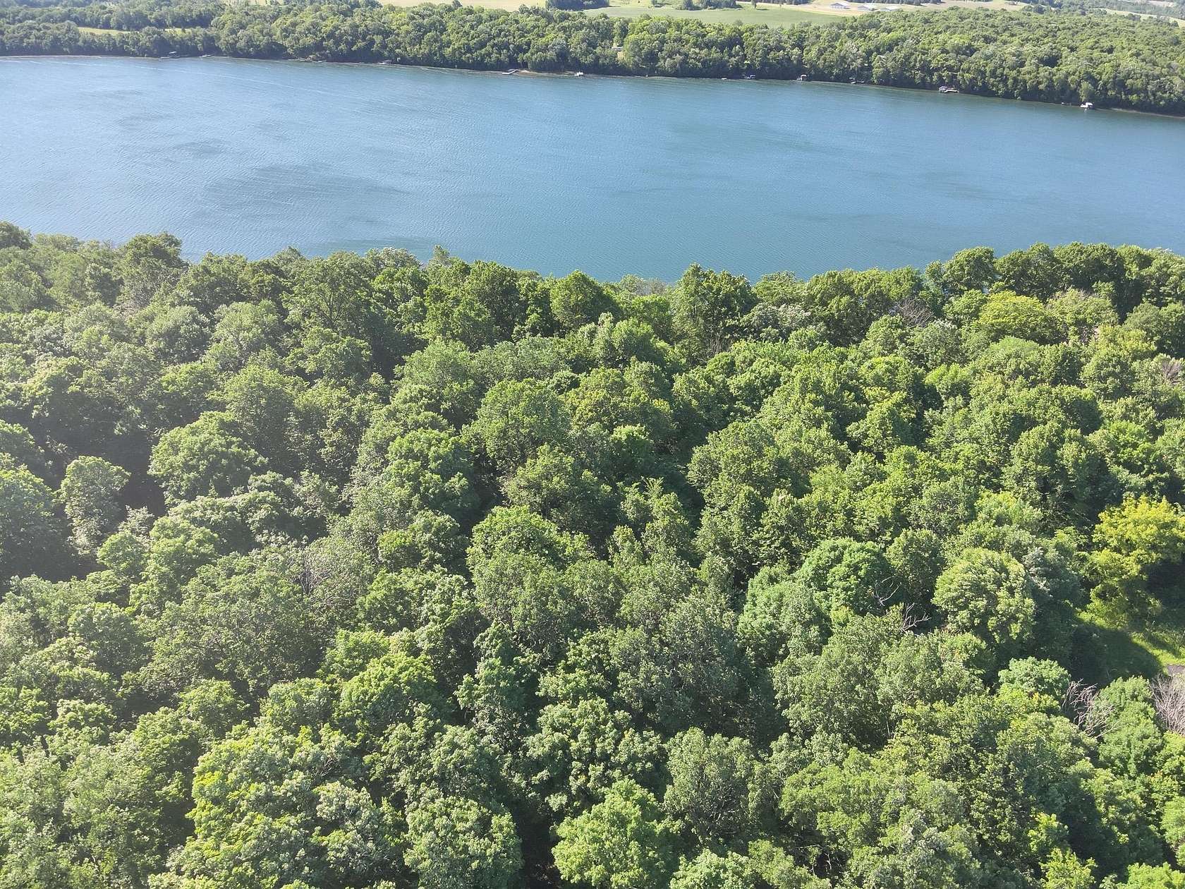 4.33 Acres of Land for Sale in Dent, Minnesota