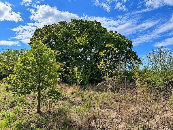 28 Acres of Recreational Land for Sale in Mineola, Texas