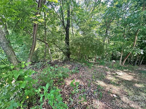 0.34 Acres of Residential Land for Sale in Charlotte, North Carolina
