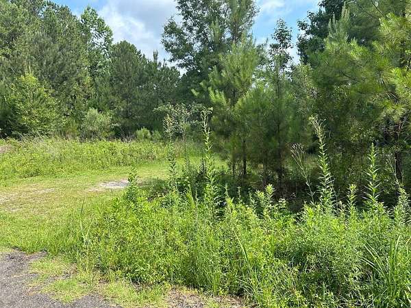0.43 Acres of Land for Auction in Andrews, South Carolina