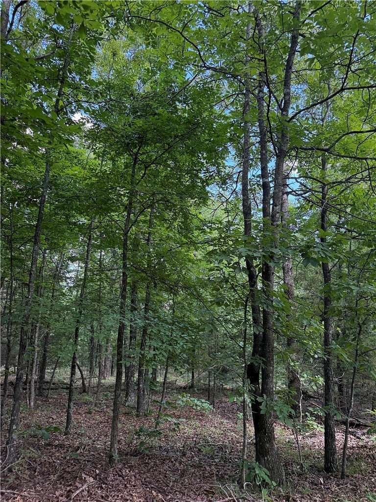 40.4 Acres of Recreational Land for Sale in Elkins, Arkansas