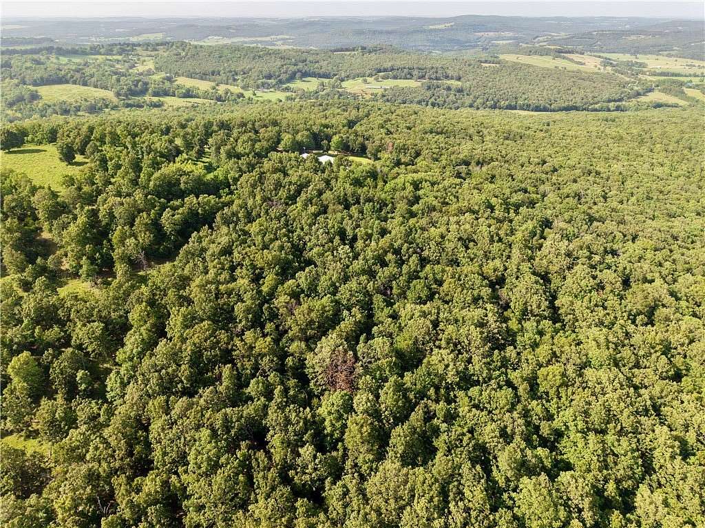 40.4 Acres of Recreational Land for Sale in Elkins, Arkansas