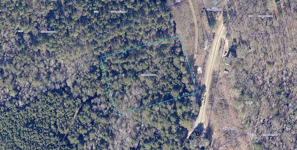Land for Auction in Fort Lawn, South Carolina