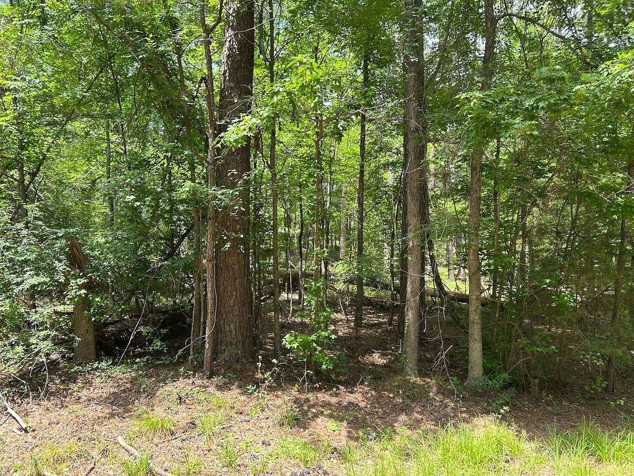 0.29 Acres of Residential Land for Auction in McCormick, South Carolina