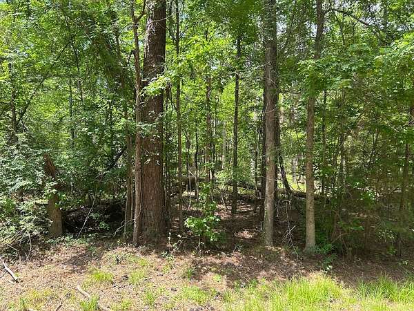 0.29 Acres of Residential Land for Auction in McCormick, South Carolina