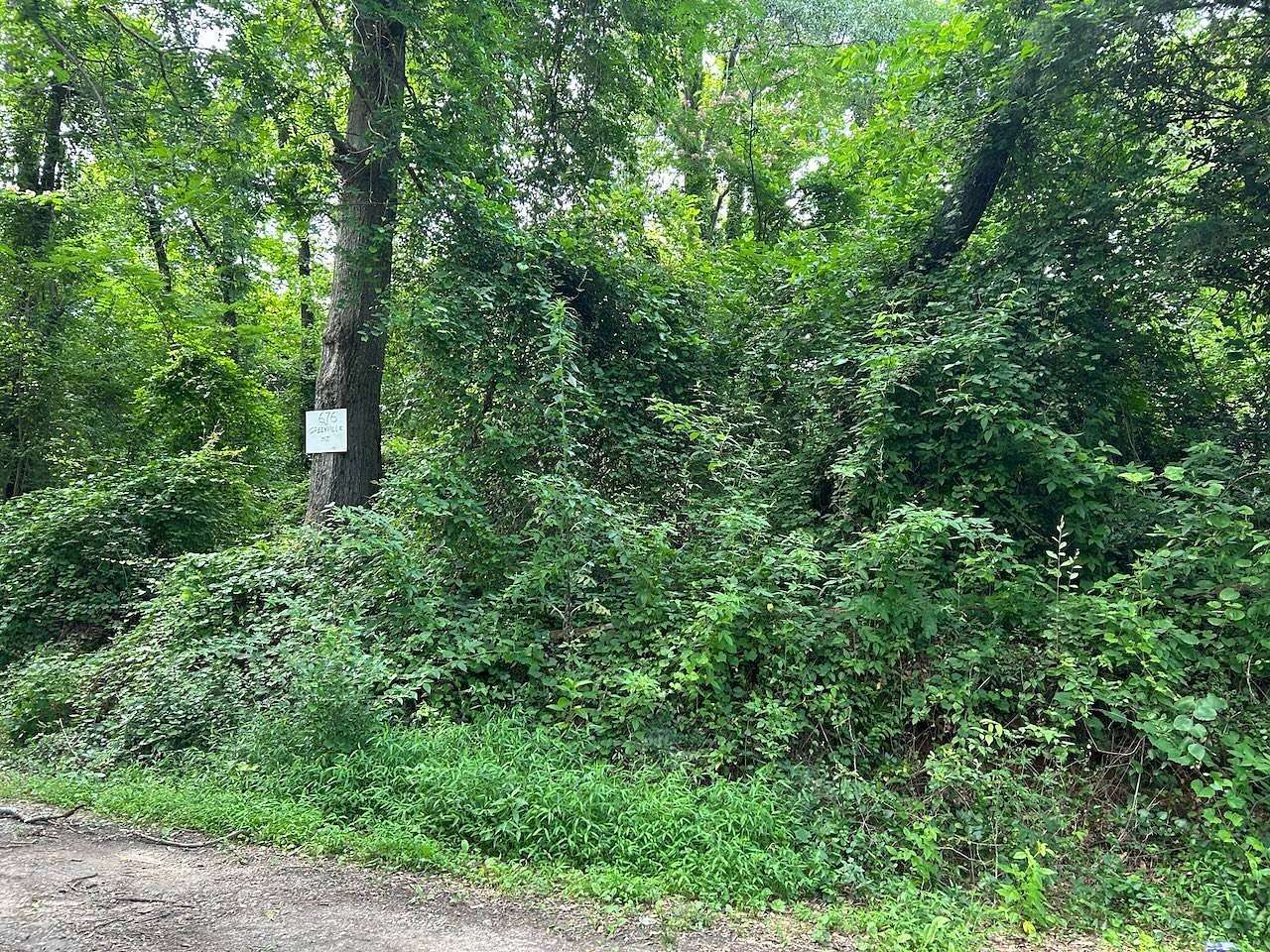 Land for Auction in Spartanburg, South Carolina