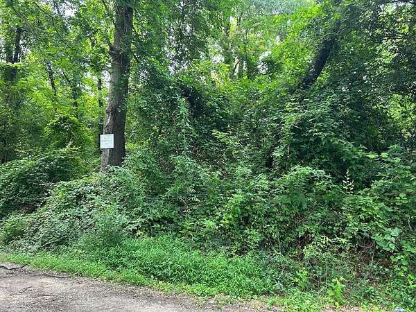 Land for Auction in Spartanburg, South Carolina