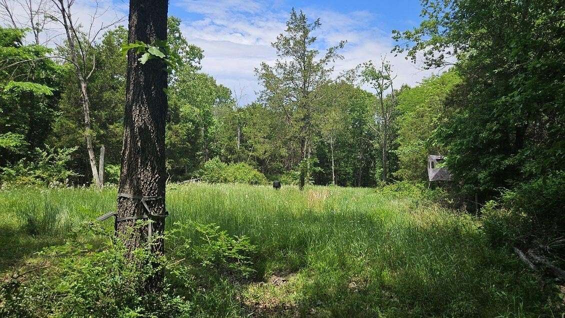 18.8 Acres of Recreational & Residential Land for Sale in Rogersville, Missouri
