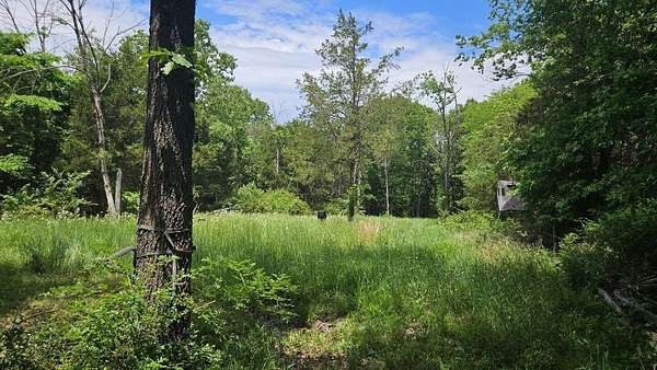 18.8 Acres of Recreational & Residential Land for Sale in Rogersville, Missouri