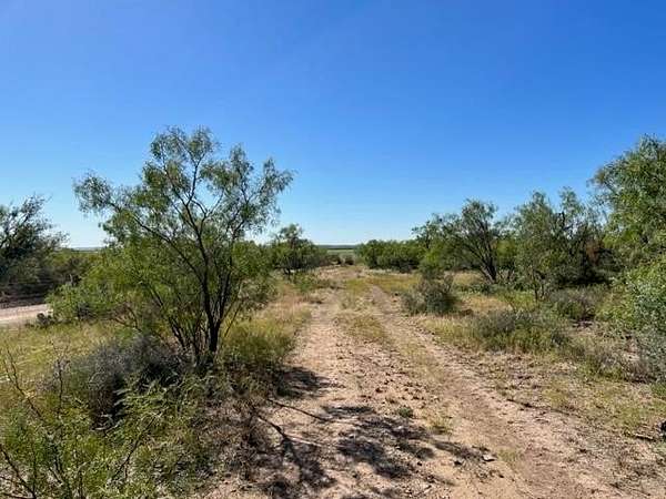 113 Acres of Land for Sale in Millersview, Texas