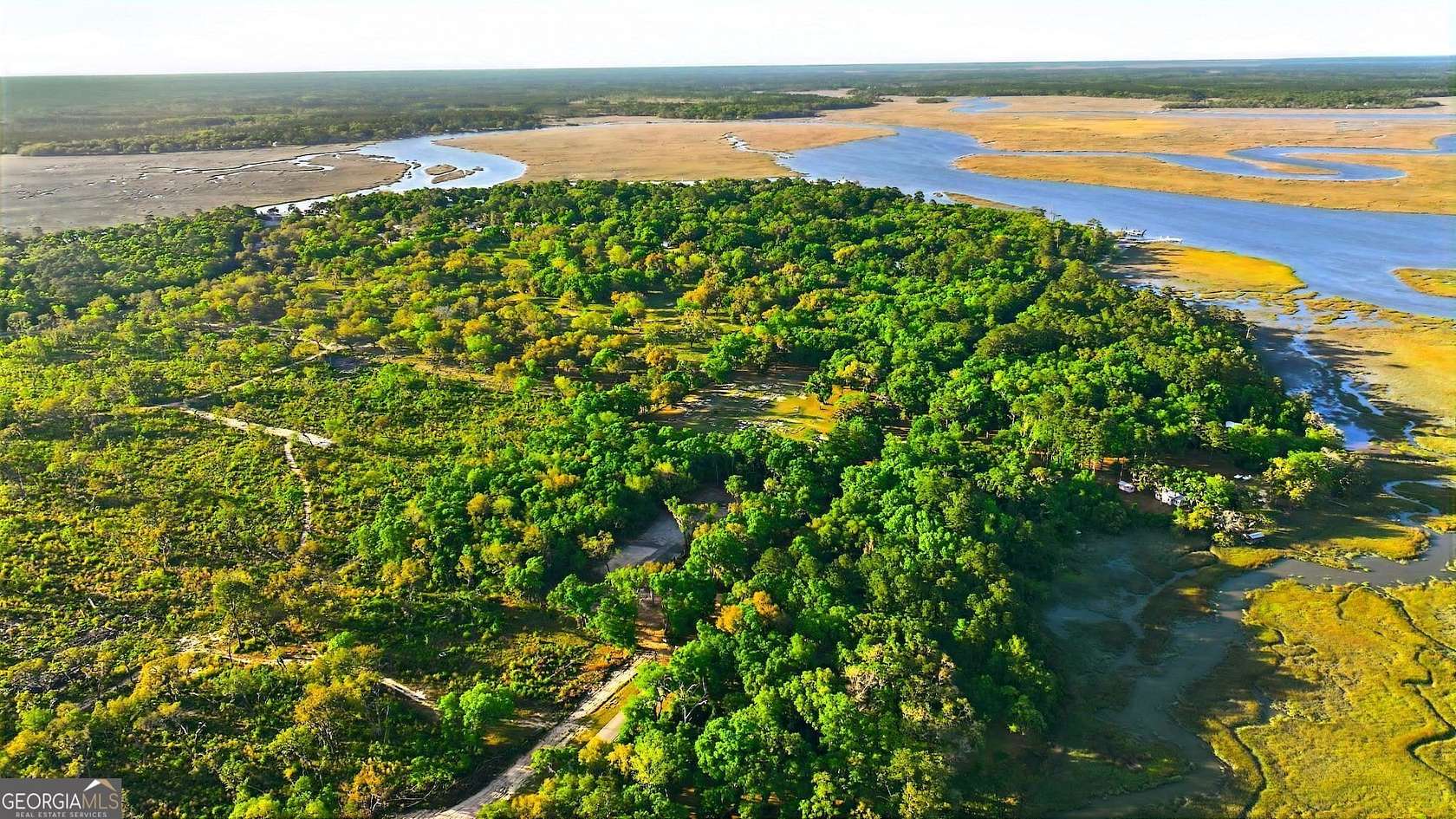 1 Acre of Residential Land for Sale in Townsend, Georgia