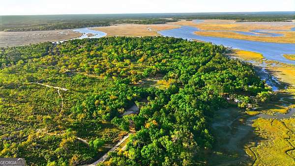 1 Acre of Residential Land for Sale in Townsend, Georgia