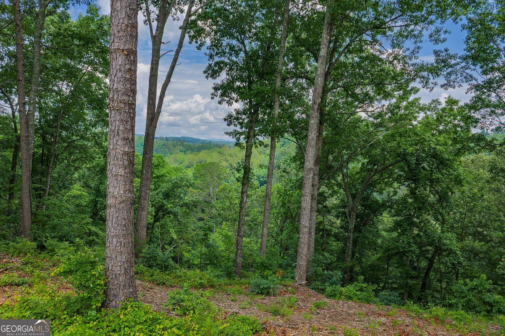 4.57 Acres of Residential Land for Sale in Talking Rock, Georgia