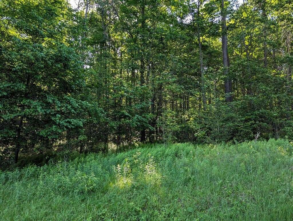 24.3 Acres of Recreational Land for Sale in Coudersport, Pennsylvania