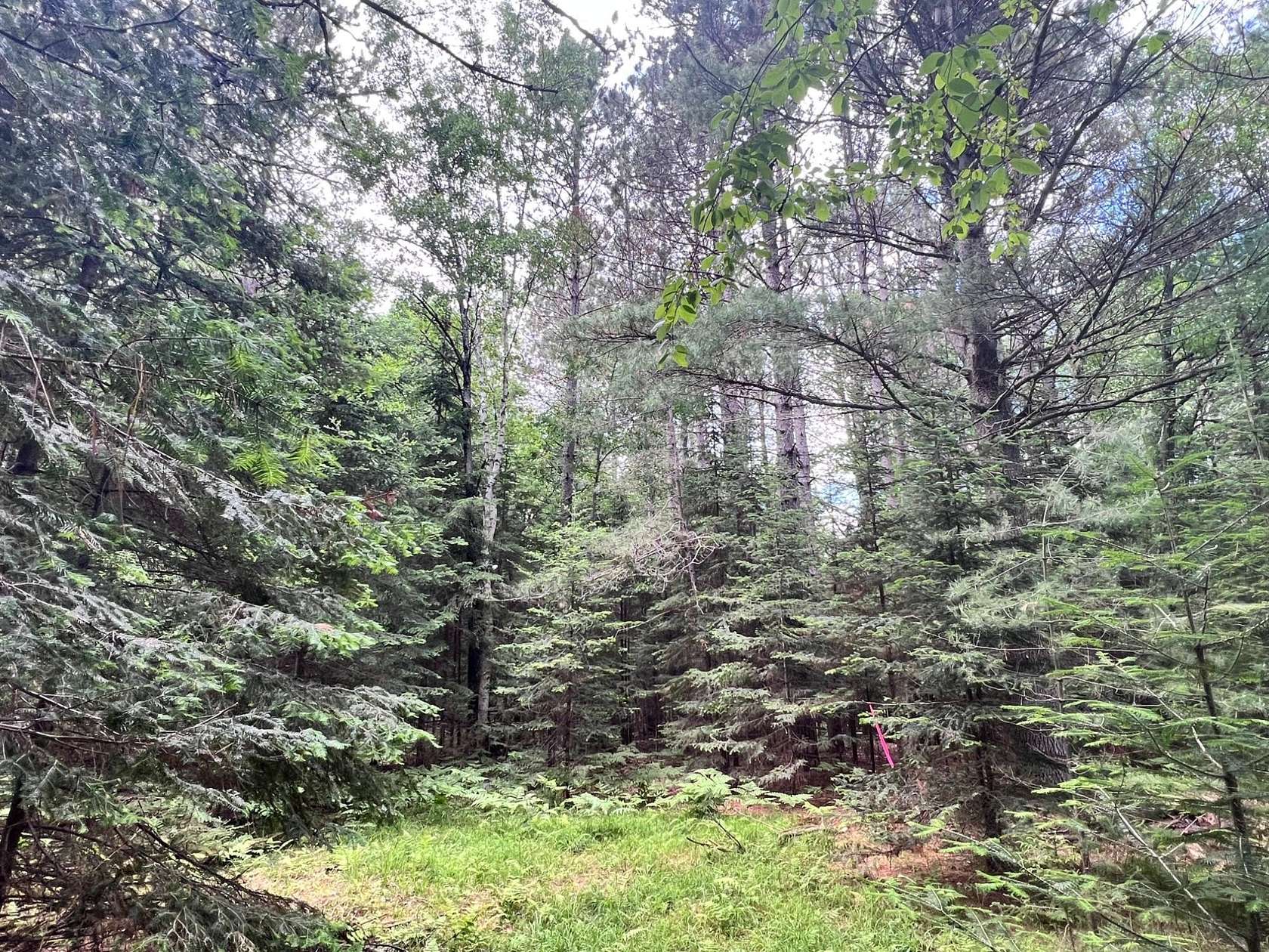 4 Acres of Commercial Land for Sale in Eagle River, Wisconsin