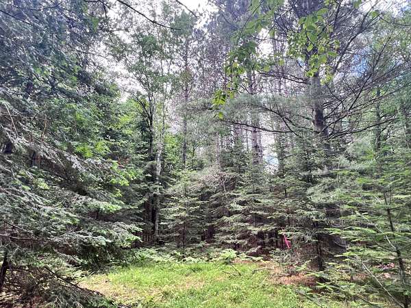 4 Acres of Commercial Land for Sale in Eagle River, Wisconsin