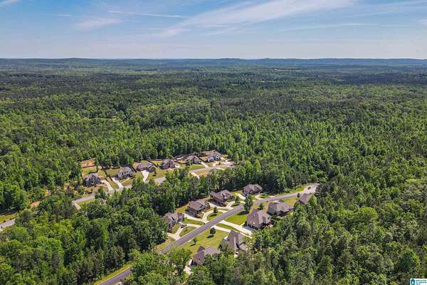 56 Acres of Recreational Land for Sale in Pelham, Alabama