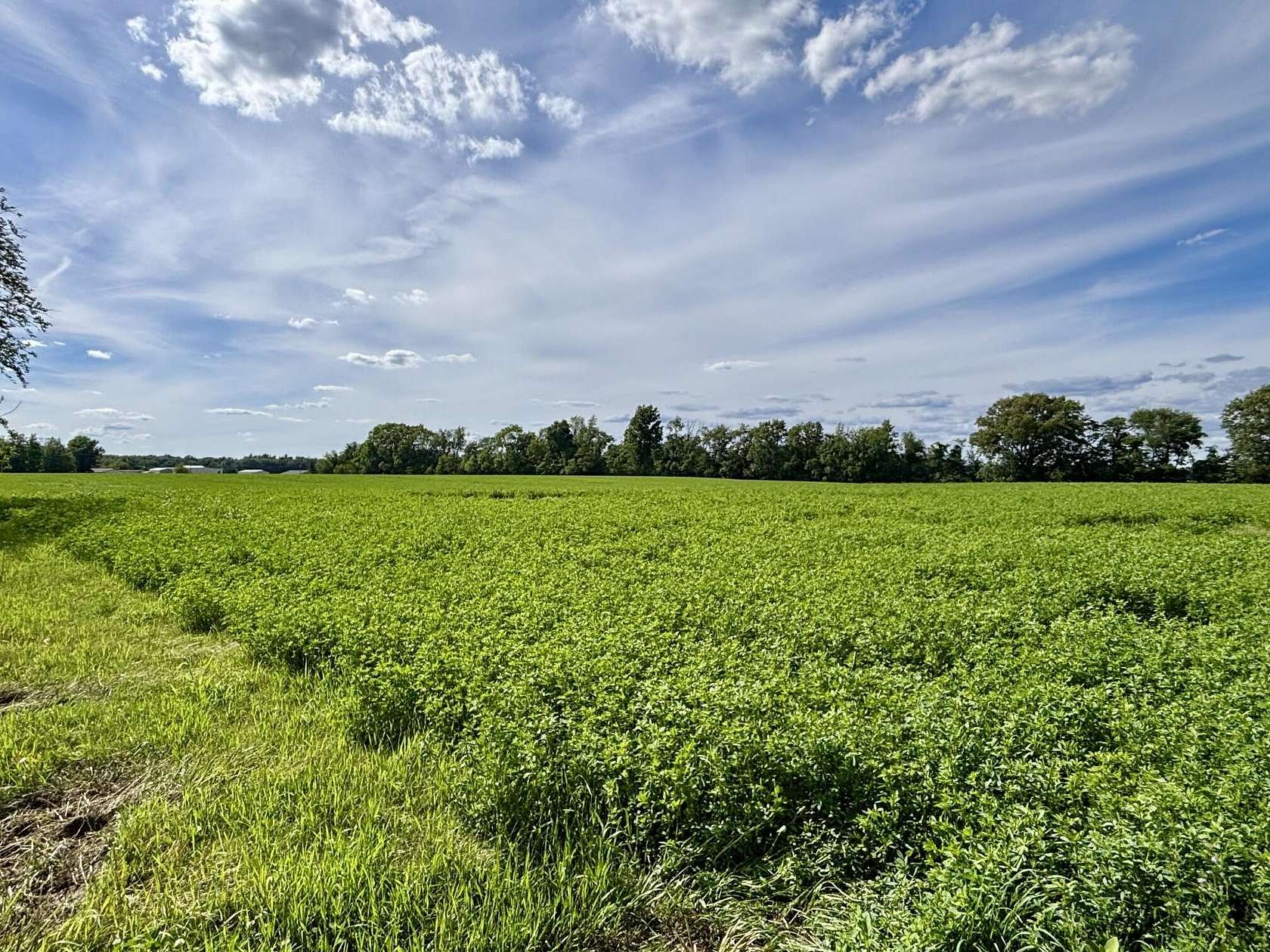 22 Acres of Agricultural Land for Sale in Sturgis, Michigan